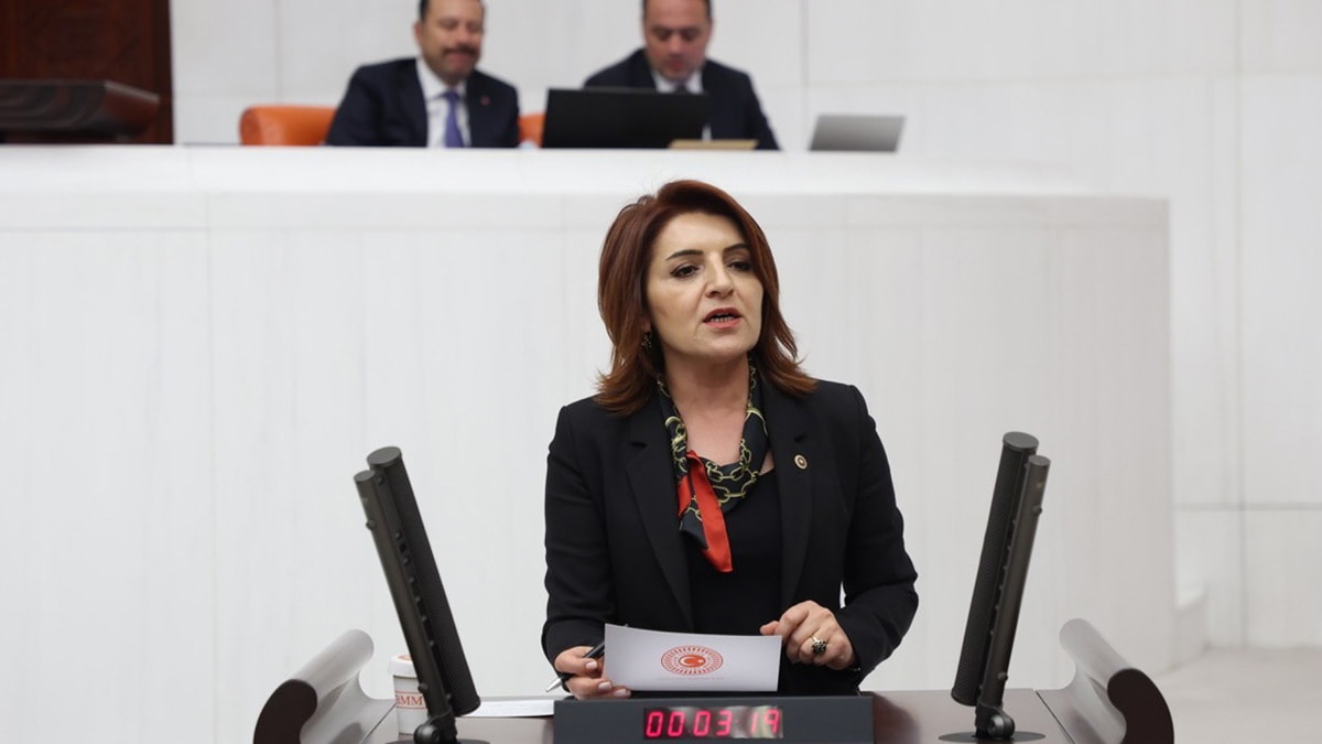 Kış: 'Parlamento Saray’ın icazet makamı değildir!'