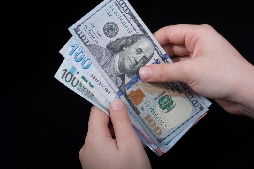 TL, Dolar karşısında değer kaybeden iki para biriminden biri