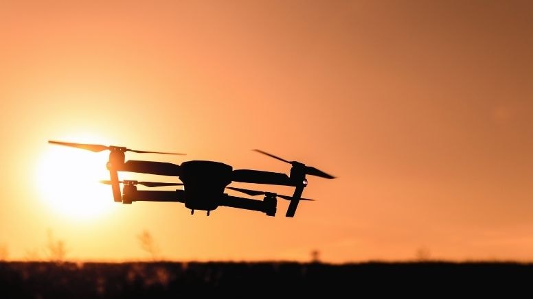 Kaybolan büyükbaş hayvanları jandarma dronla buldu