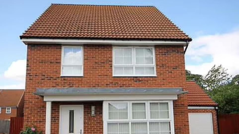 Satılığa çıkarılan evin içi ayı kaynıyor!