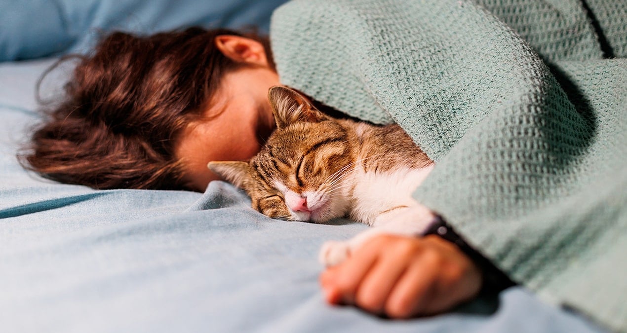 Evcil Hayvanıyla Birlikte Uyuyanların Psikolojisi: 7 Ortak Özellik