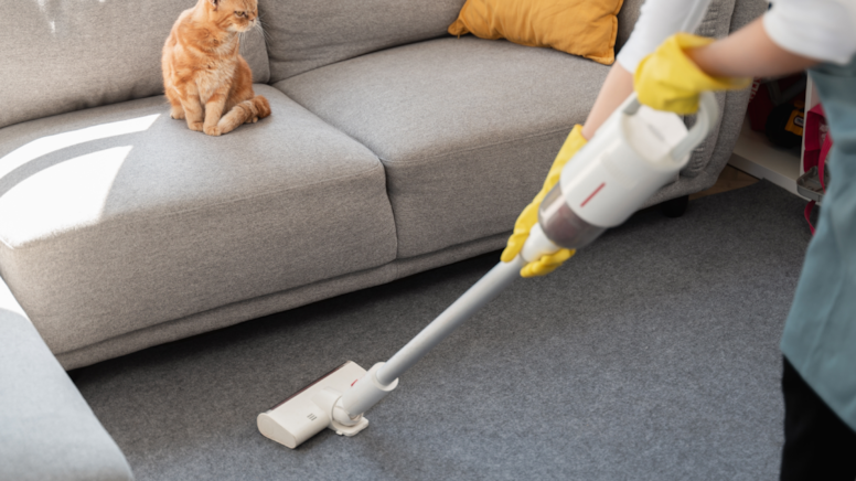 Evin en kirli yeri meğer tuvalet değilmiş! Bakteriyi tozu süpürge gibi çekiyormuş