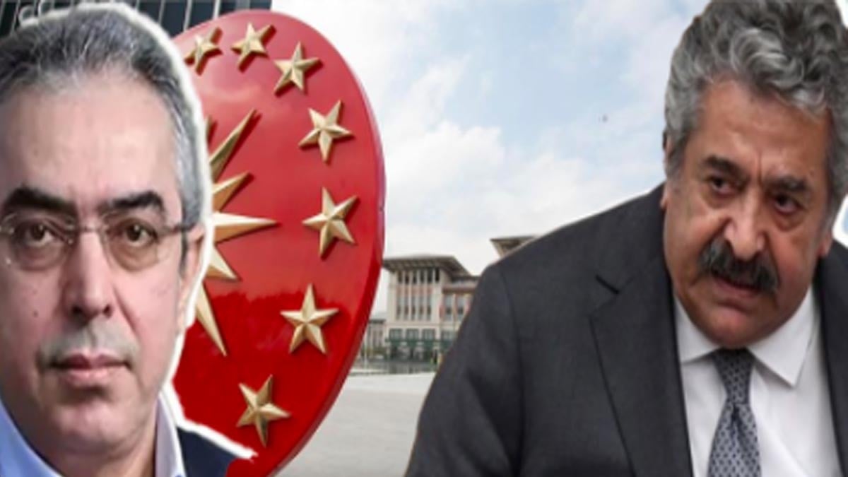 Saray'dan yeni sürece dil uyarısı! 'Türkiye'de Siyasi tutsak yok'