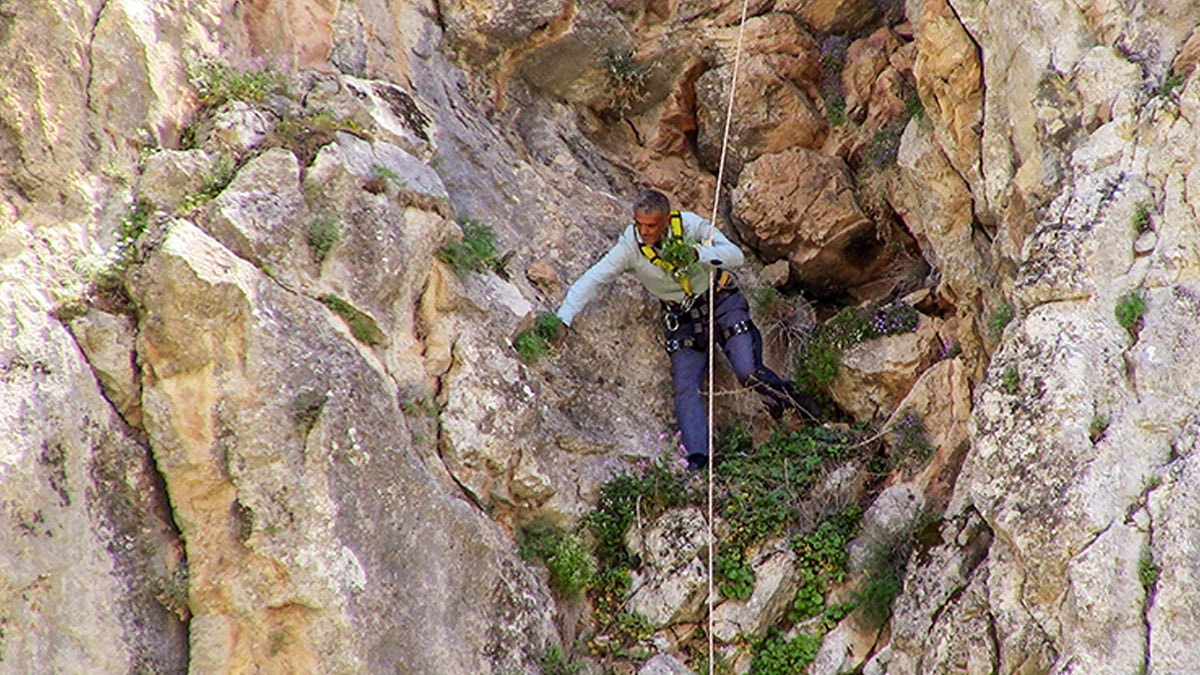 Özel kıyafetlerle dağda hasat ediyorlar: Demetini 100 liradan satıyorlar