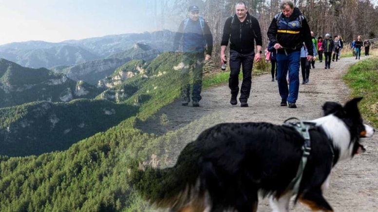 Tehlike pusuda bekliyor! Almanya'da distemper virüsü yayılıyor: Çoğu kurtarılamayacak!
