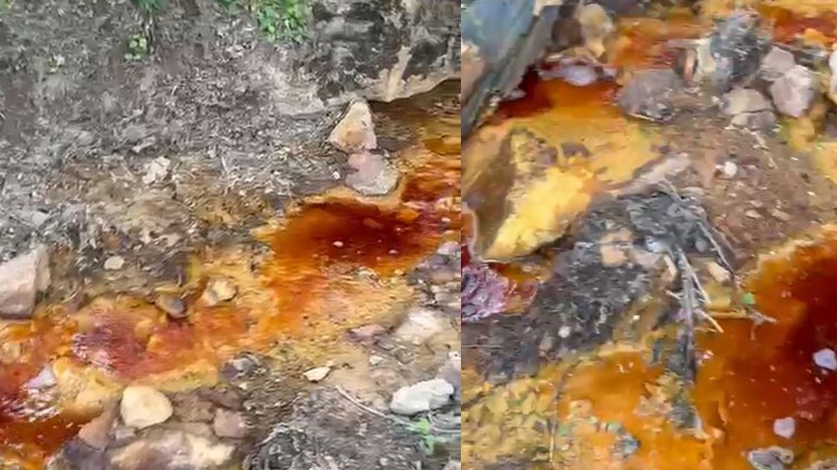 Çevre felaketi böyle görüntülendi! Suyun rengi kırmızıya döndü