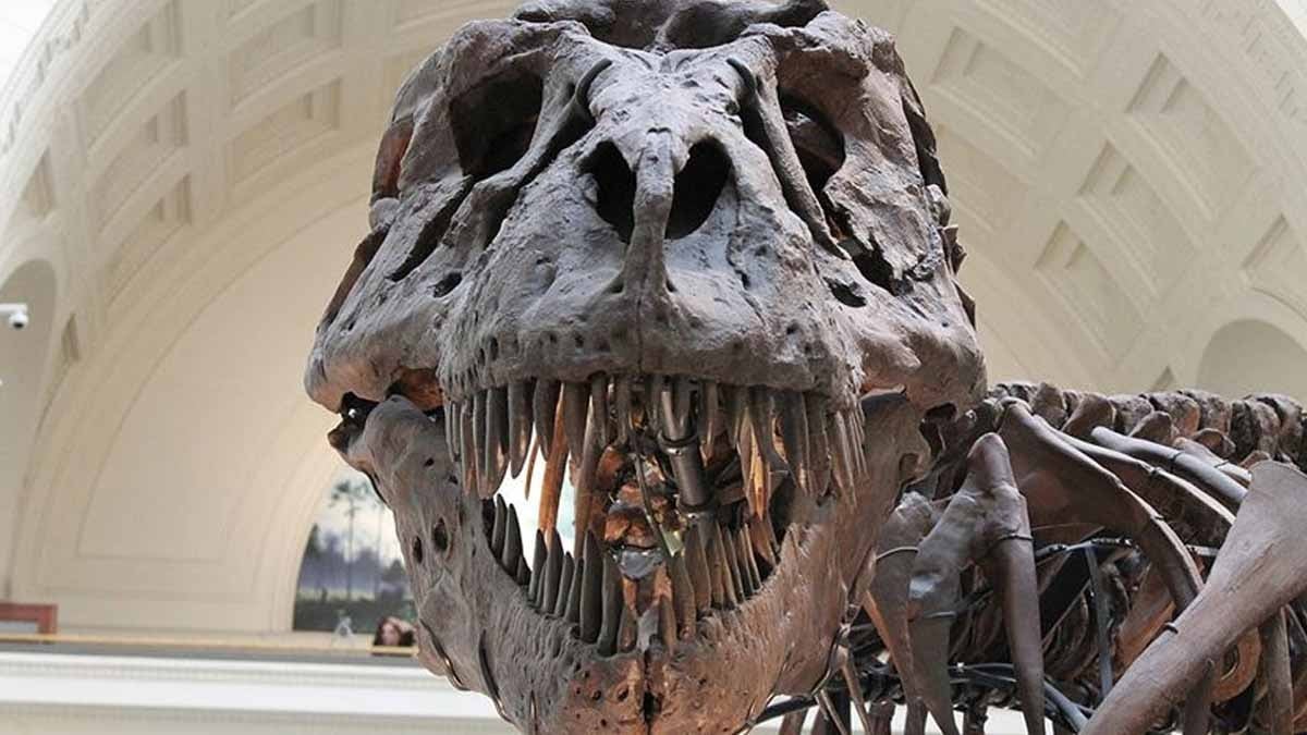 Onları bir meteor öldürmedi! İşte dinozorların gerçek sonu