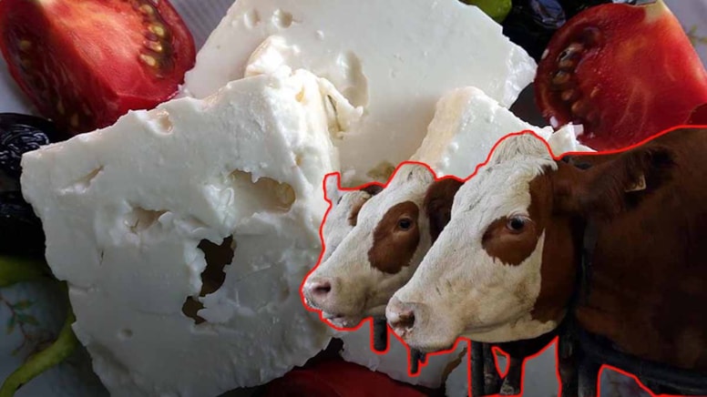 Peynir, sıcak iklimin kurbanı oldu