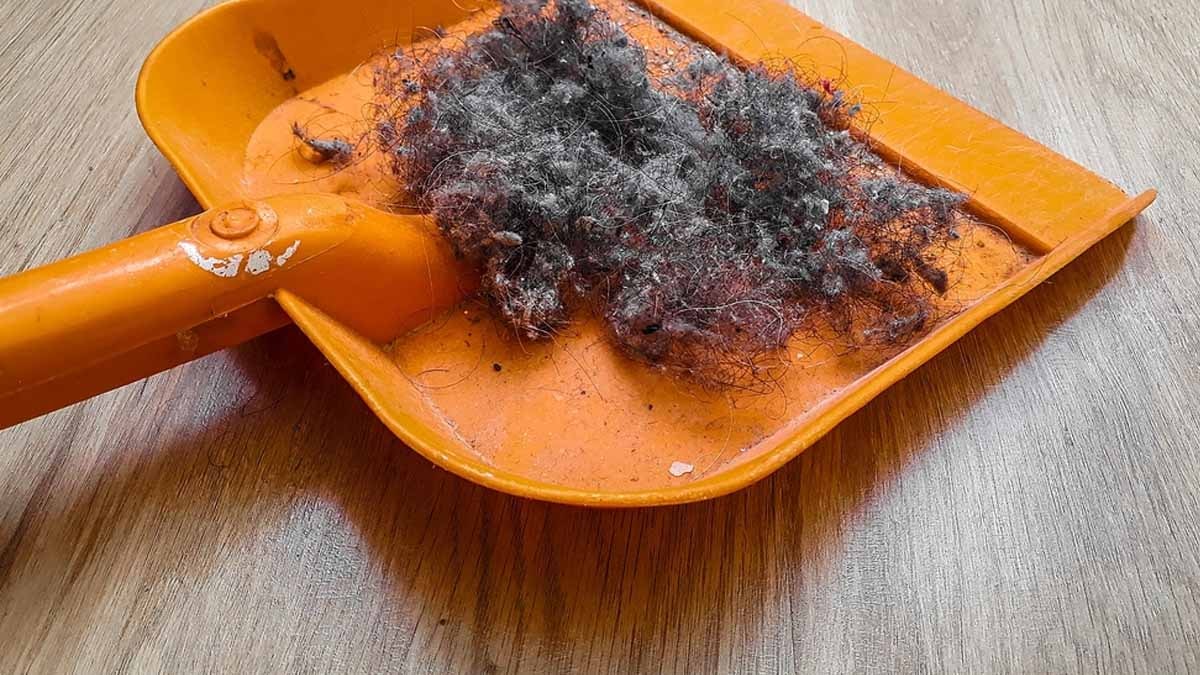 Pestisitler sadece meyve ve sebzede yokmuş! Yeni araştırma korkuttu