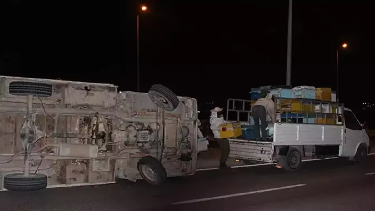 Arı kovanı yüklü kamyonet devrildi, binlerce arı etrafa saçıldı