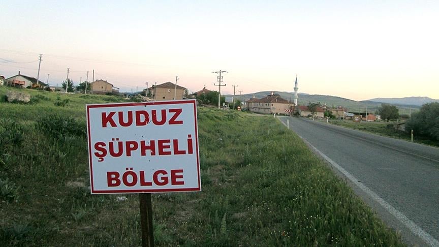 Kuduz karantinası başladı, 4 mahalleye giriş-çıkış kapatıldı