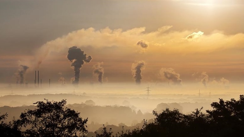 '1 milyar insan iklim göçmeni olabilir'