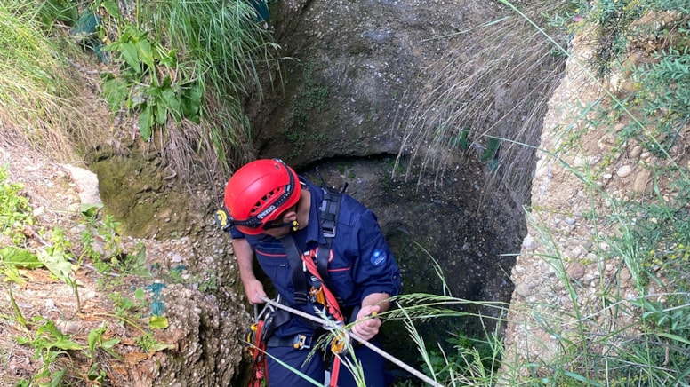 Yedi yavru kuyuya düştü! İtfaiye kurtardı