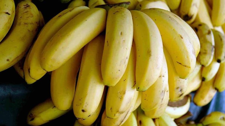 Bilim insanlarının muzları sarı tutmak için kullandıkları numara: Buzdolabında veya alüminyum folyoda saklanmıyor!
