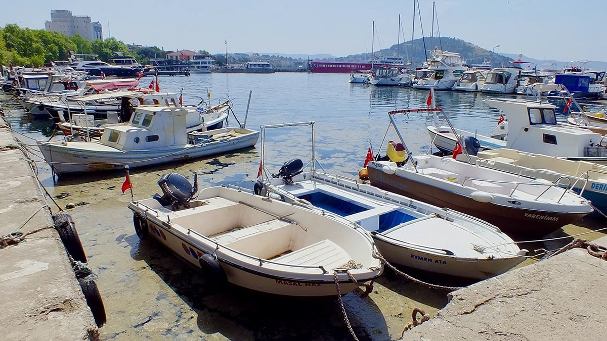 Marmara'da yine ortaya çıktı... Teknelerin etrafını sardı