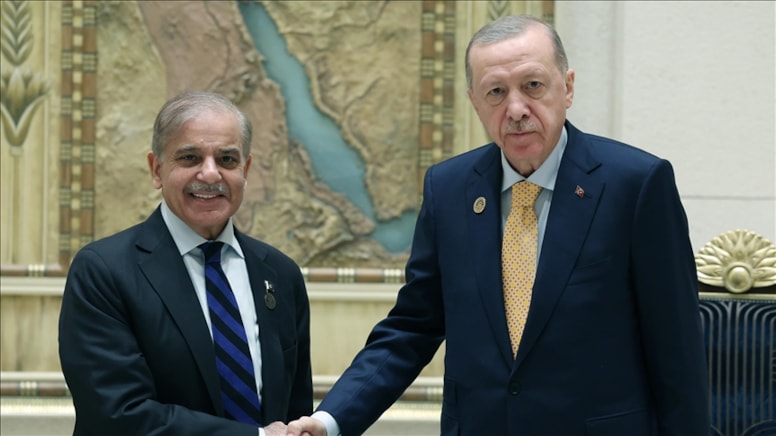 Cumhurbaşkanı Erdoğan, Pakistan Başbakanı Şerif'le görüştü