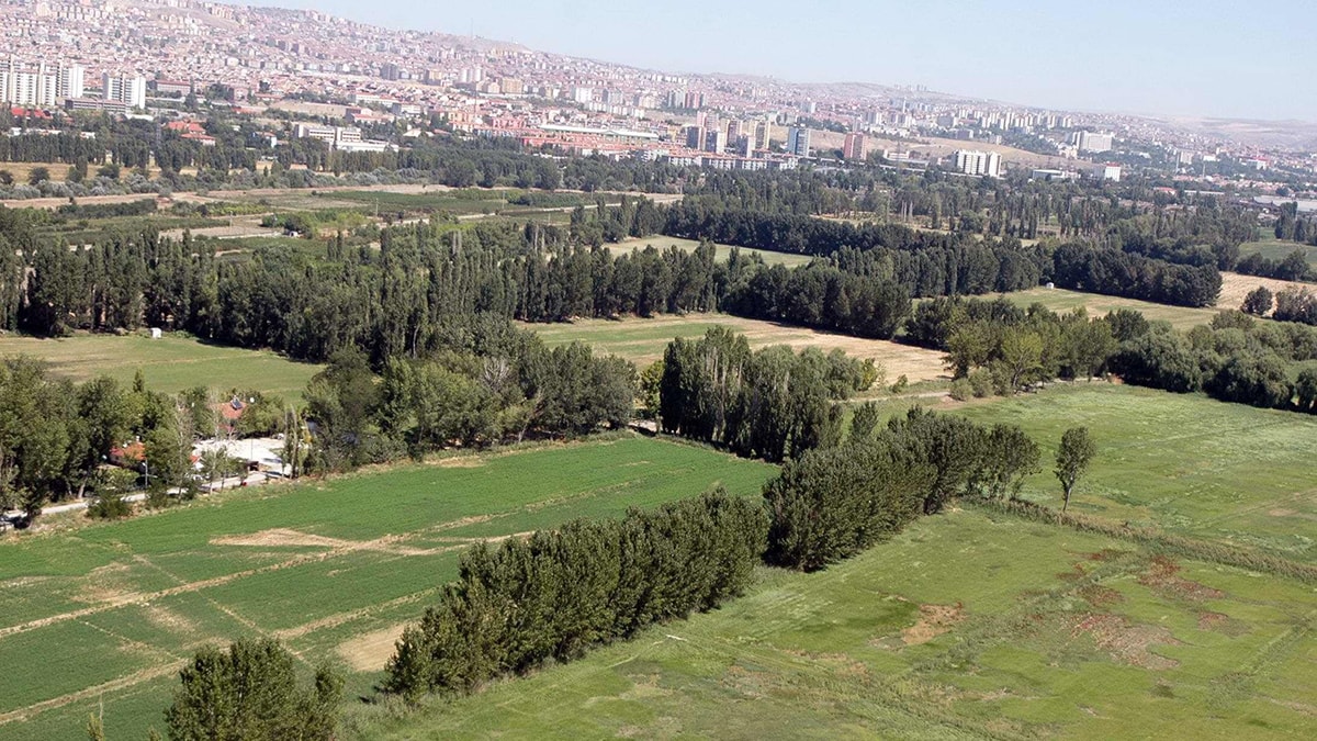 Adını da sattılar
