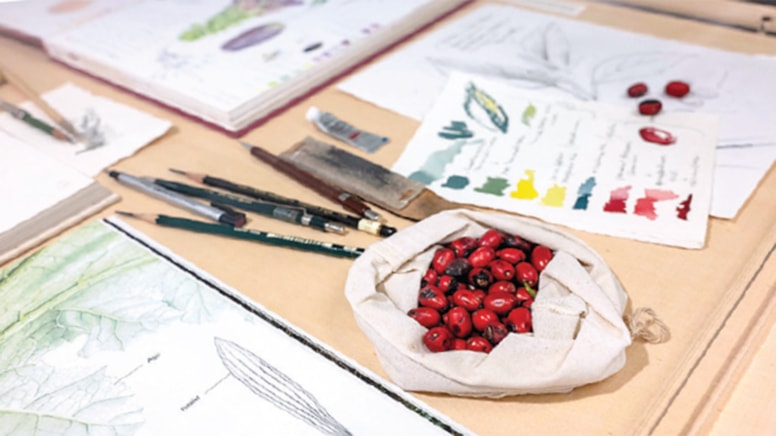 Bitki mirasımız yok olmasın