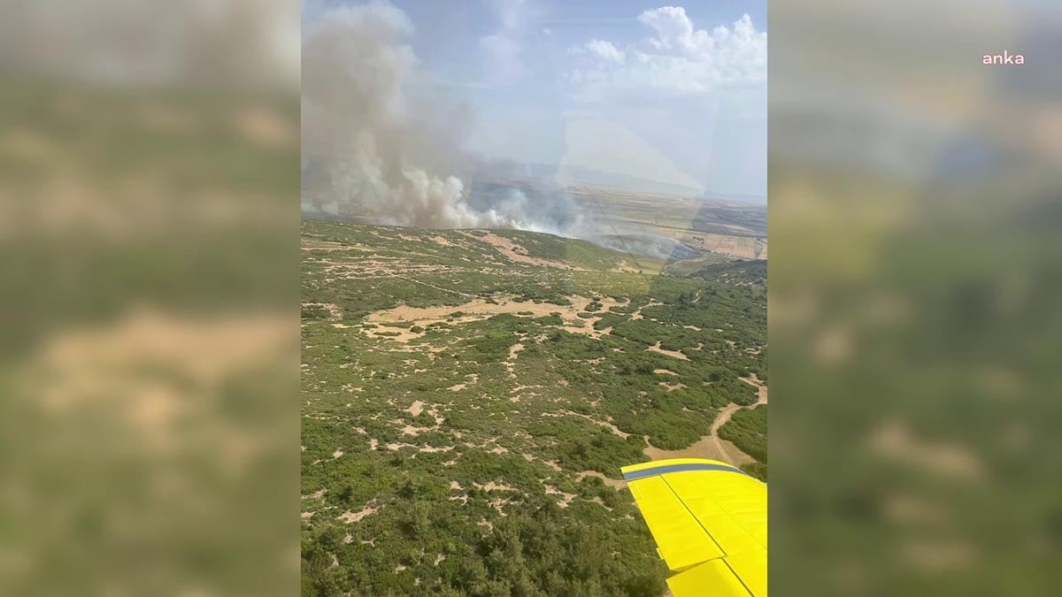 Foça'da korkutan orman yangını