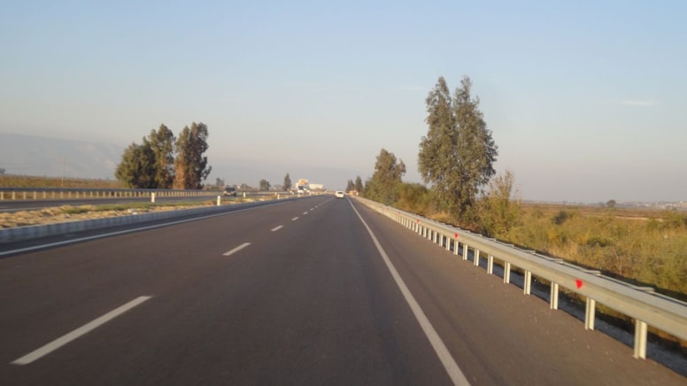 Nesli tükenmekte olan ve koruma altındaki saz kedisi trafiğe kurban gitti