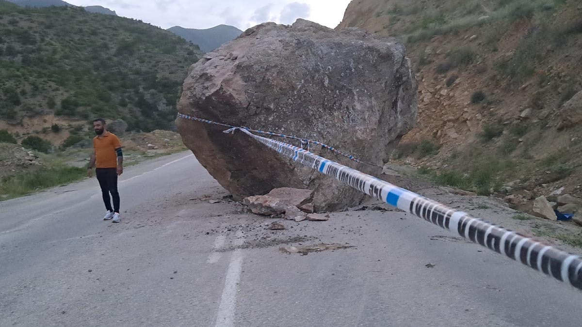 Ardahan-Ardanuç Karayolunda Kaya Düşmesi: Facia Son Anda Önledi