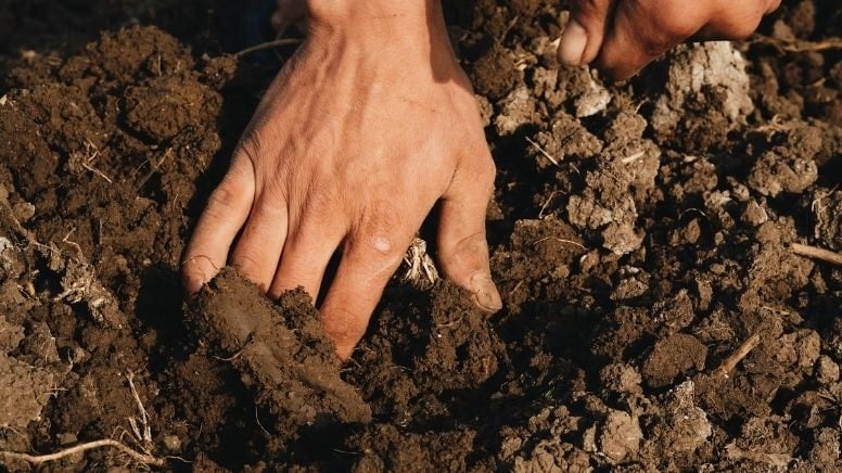 Bahçesindeki toprağı sürerken 'tarih' buldu