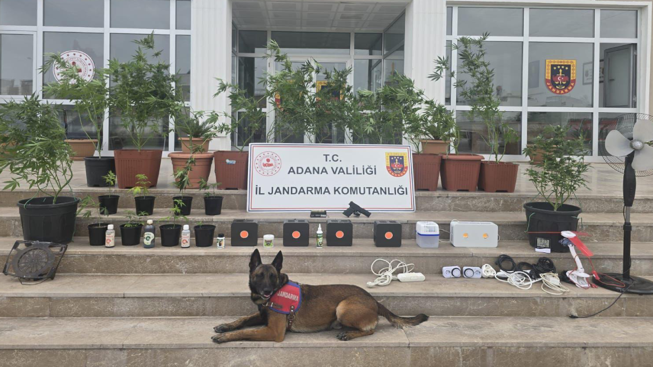 Jandarma'dan uyuşturucu imalat edilen eve baskın