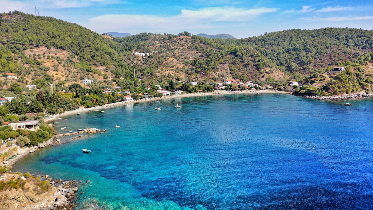 Muğla’daki Zeytinlik ve Orman Arazileri Satışa Çıkarıldı, İYİ Partili Ergun Tepki Gösterdi