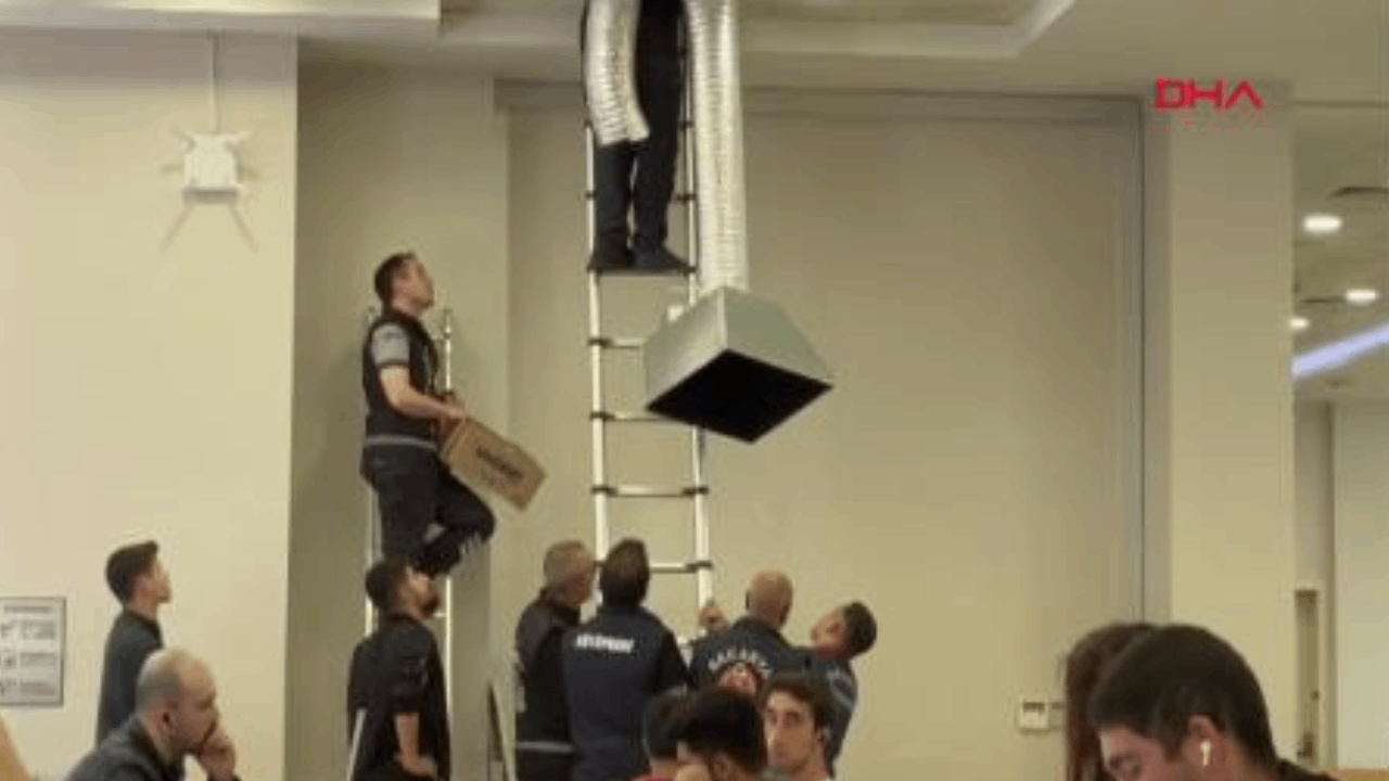Üniversite kütüphanesinde kedi kurtarma operasyonu