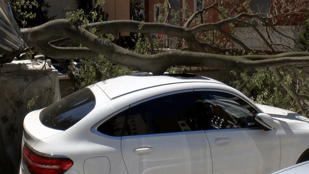 Kadıköy’de inşaat alanındaki ağaç otomobilin üstüne devrildi