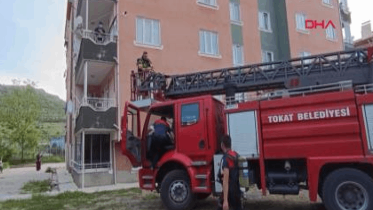Çatıdaki fareleri kaçırmak için bütün apartmanı zehirledi