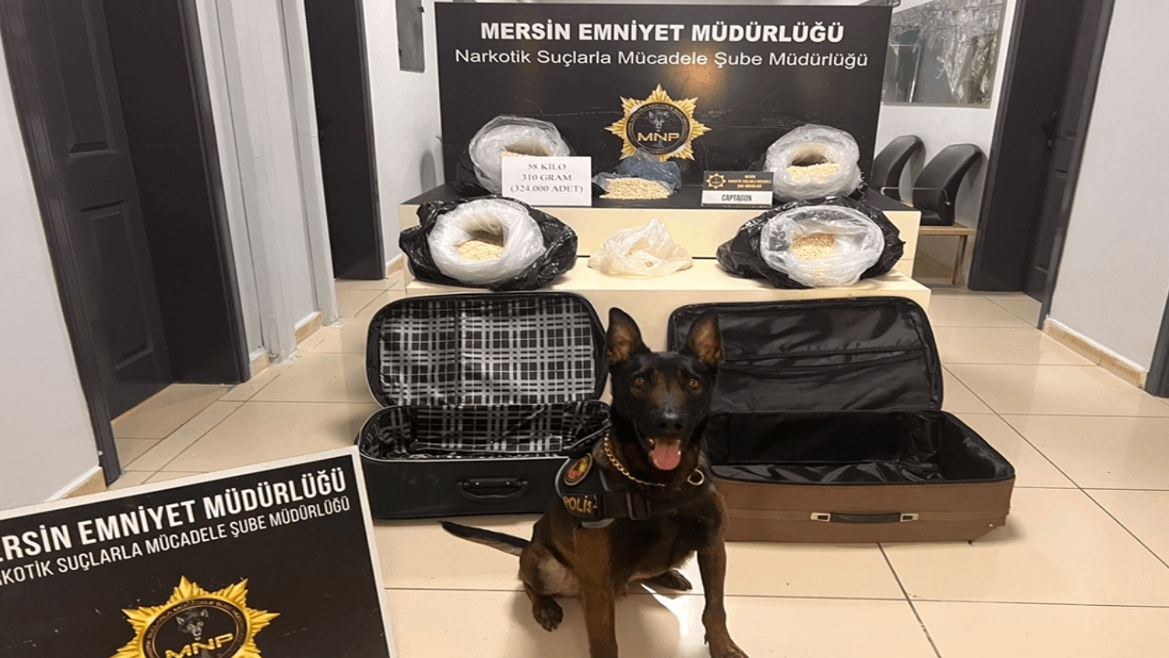 Mersin'de 324 bin uyuşturucu hap yakalandı