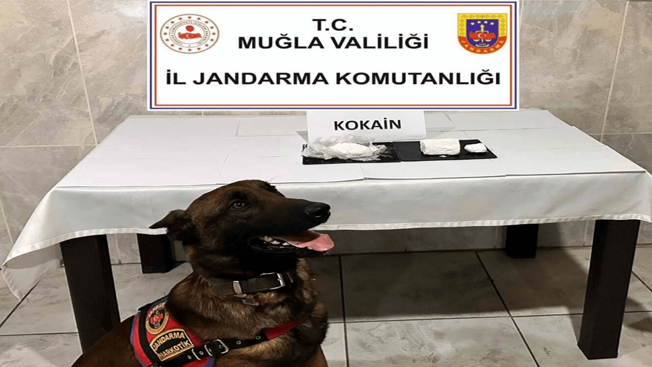 Yolcu otobüsüyle uyuşturucu sevkiyatını 'Etil' yakaladı