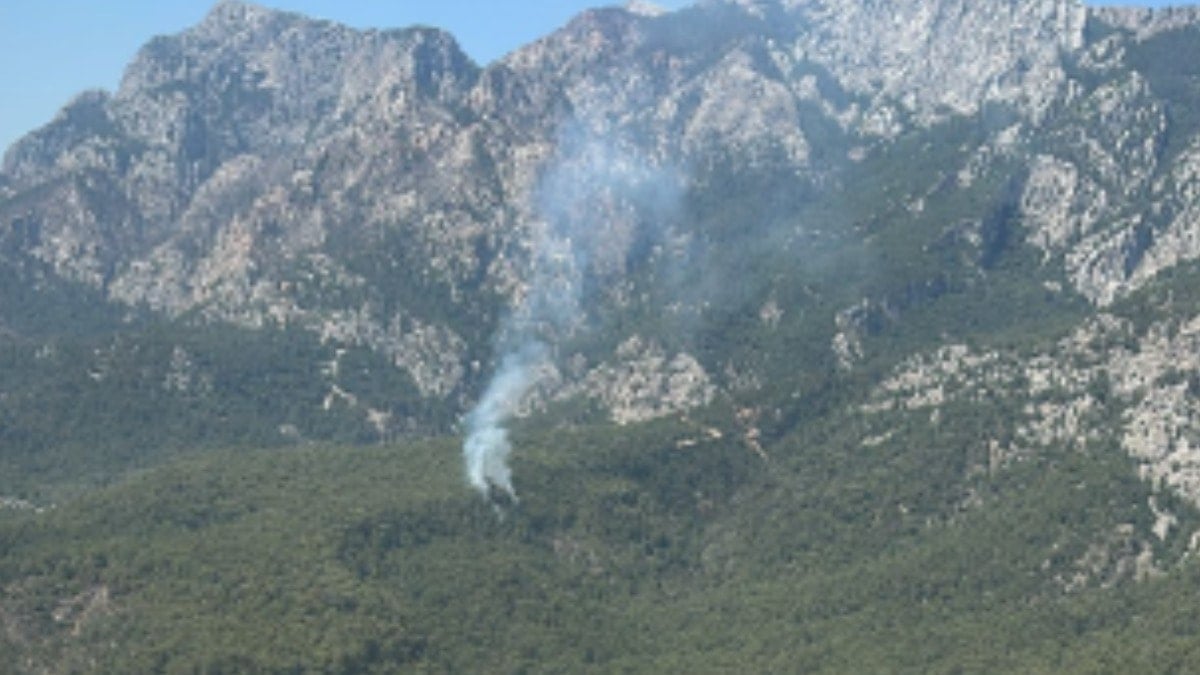 Milli Park'ta orman yangını