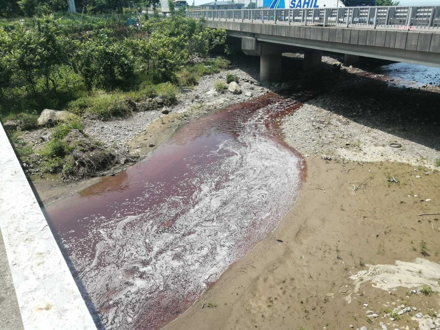 Rize'de dereye akan kurban kanı denize karıştı