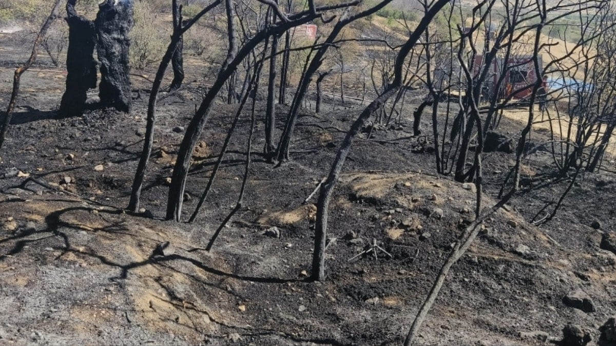 Nevşehir’de ağaçlık alanda yangın: 100 dönüm arazi kül oldu
