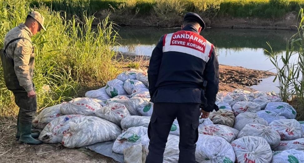 Jandarma 24 saat nöbete başladı: Kutsal canlıyı artık çuvalla kaçırıyorlar
