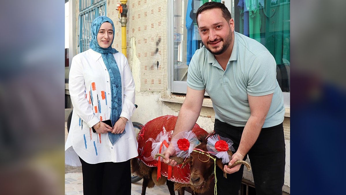 Erzurumlu doktordan nişanlısına kurbanlık koç hediyesi