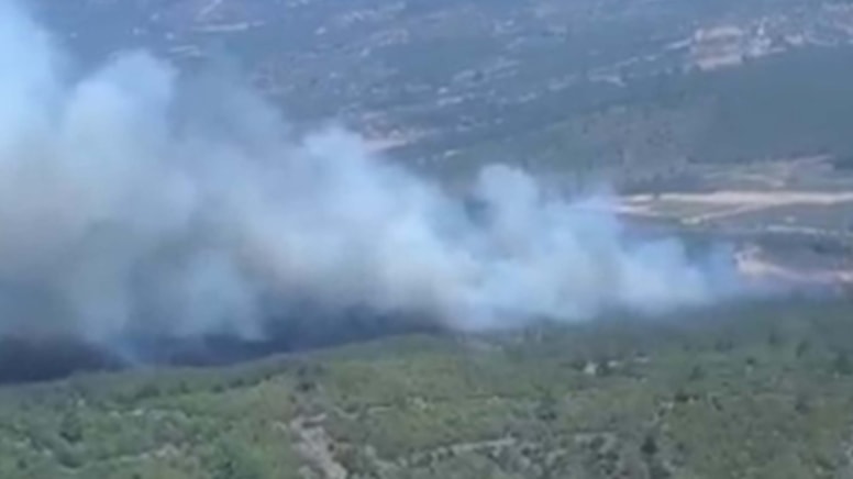 Manisa'da orman yangını! Müdahale sürüyor