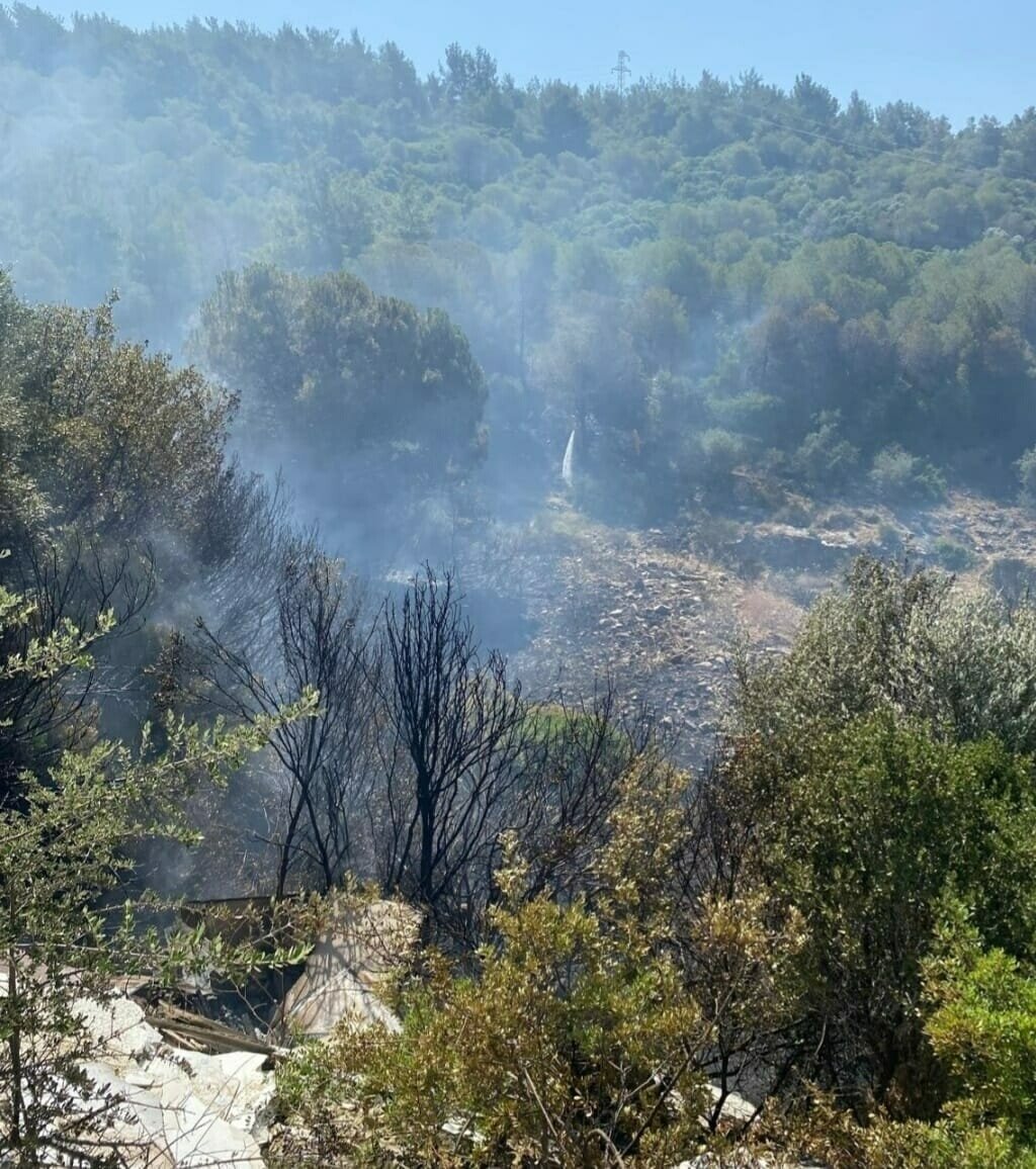Aydın'da çıkan orman yangını 2 saatte kontrol altına alındı