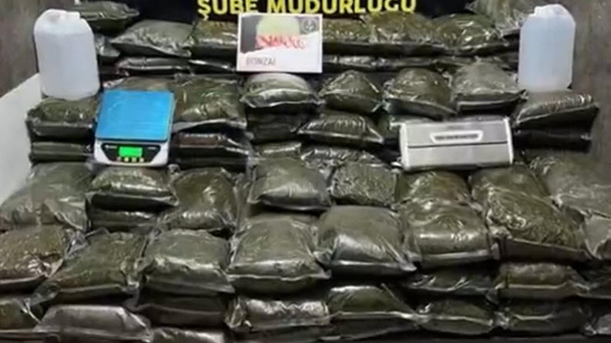İzmir'de yüz kilodan fazla bonzai ele geçirildi