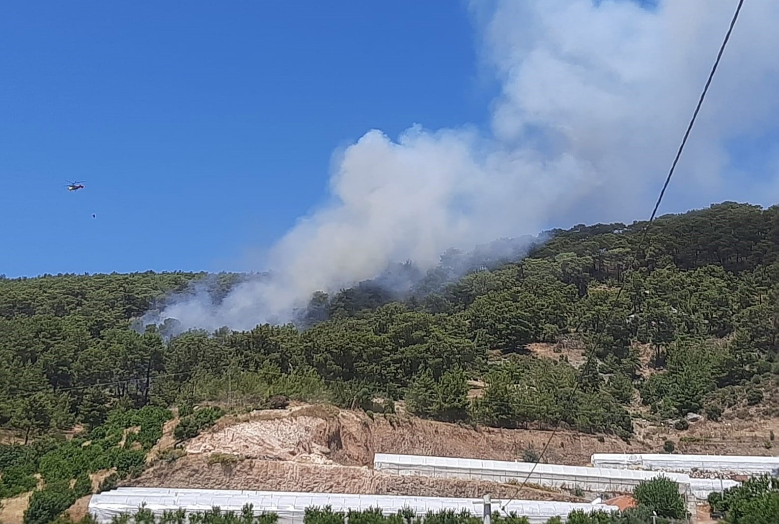 Antalya'da orman yangını çıktı!