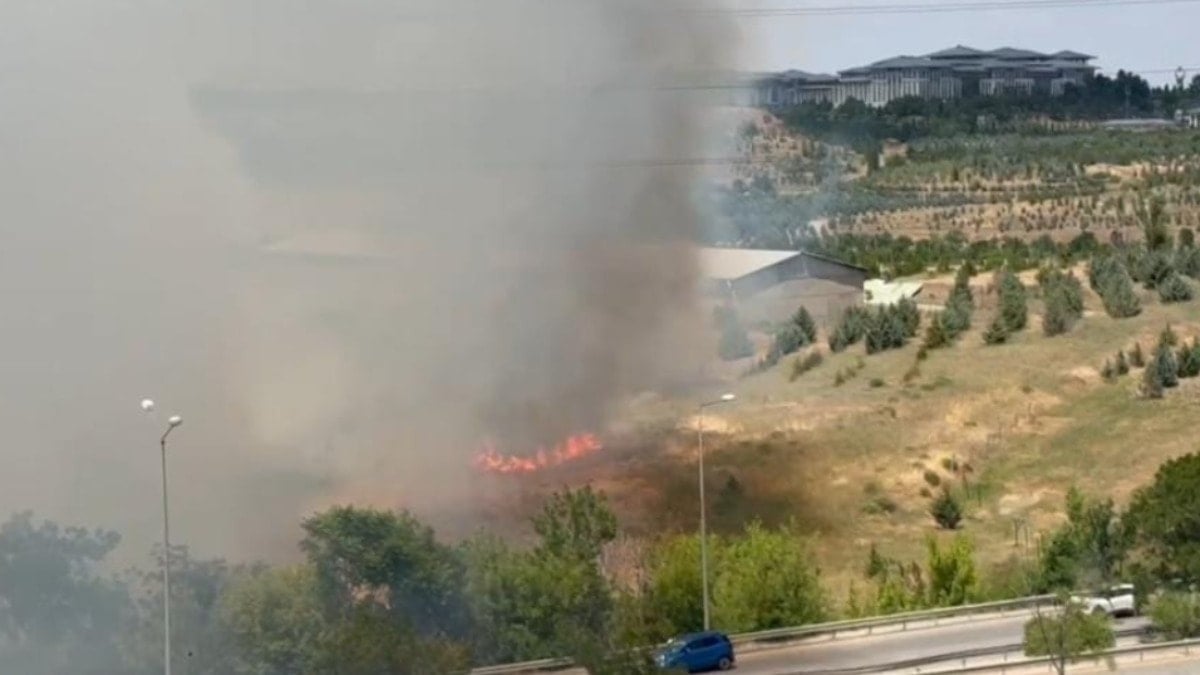 Son Dakika Haber Görseli