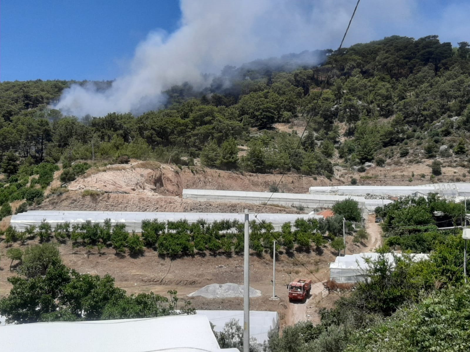 Antalya'da orman yangını! Müdahale devam ediyor