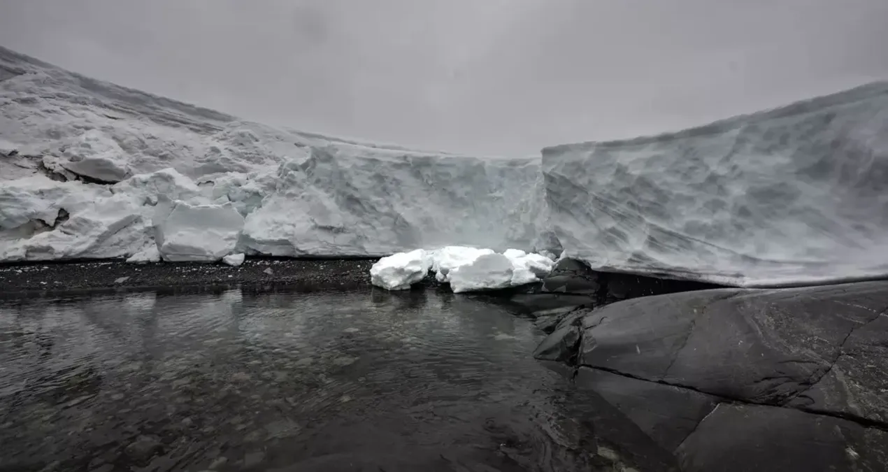 Antarktika'dan gizemli sinyaller: Buzun altından gelen radyo sinyallerinde şaşırtıcı bir keşif thumbnail