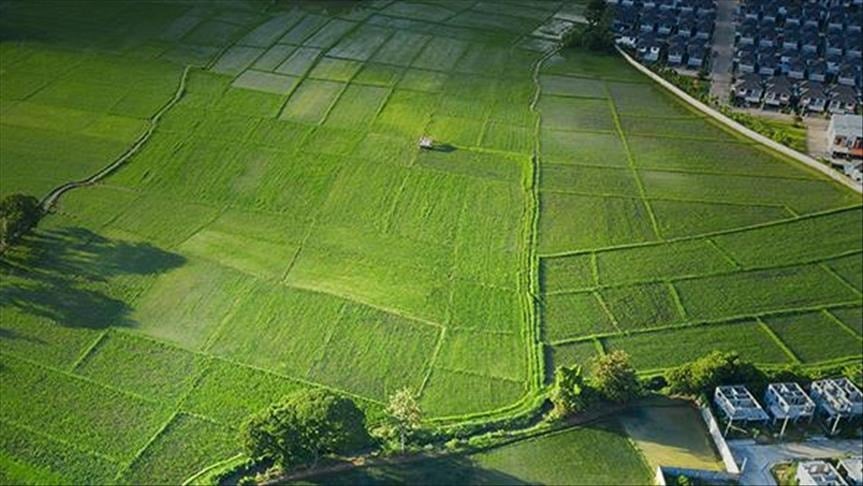 Arsa Yatırımı