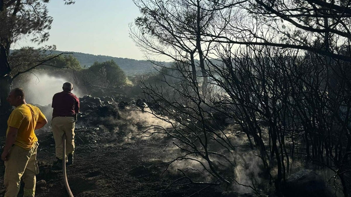 Son Dakika Haber Görseli