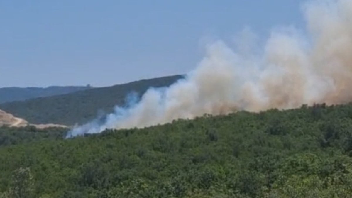 Bursa'da orman yangını; helikopterle müdahale ediyor