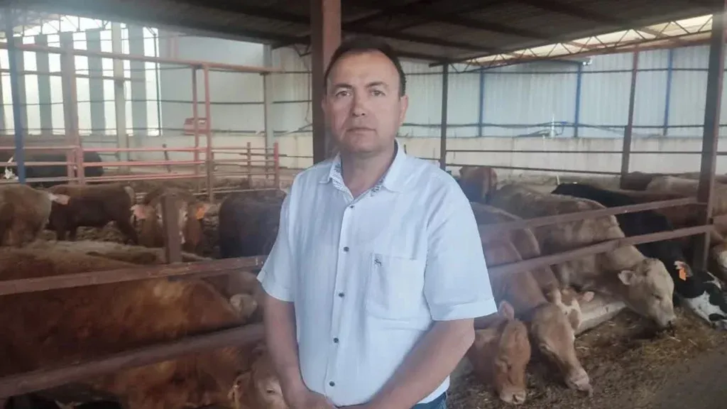 Kurbanlık dana ile selfie çekmek isterken öldü