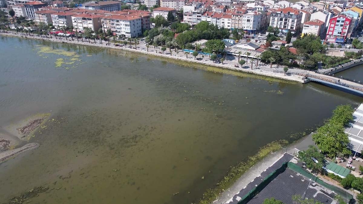 İstanbulluları tedirgin eden görüntü: Alg patlaması!